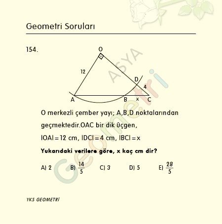 geometri soruları